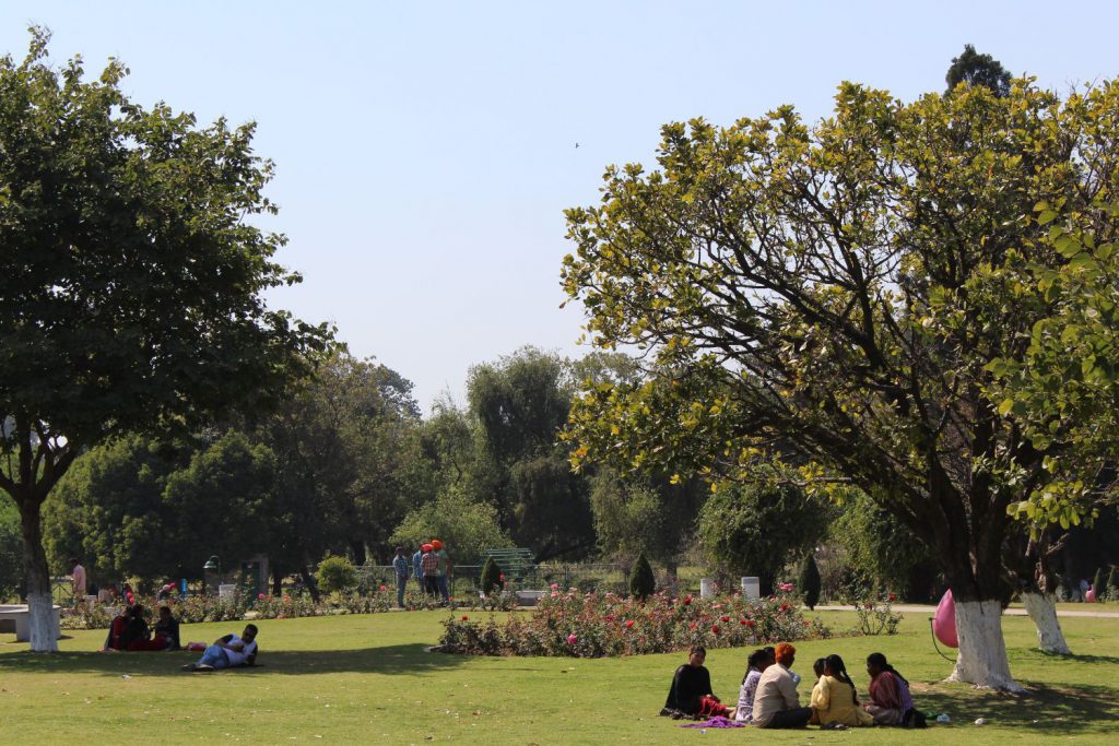 Chandigarh - rosarium