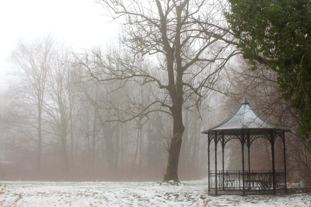 Koszuty - park otaczający dwór