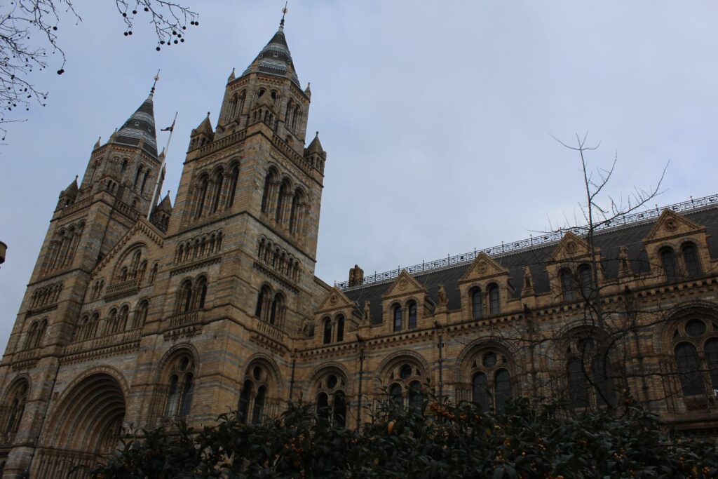 budynek Muzeum Historii Naturalnej w Londynie